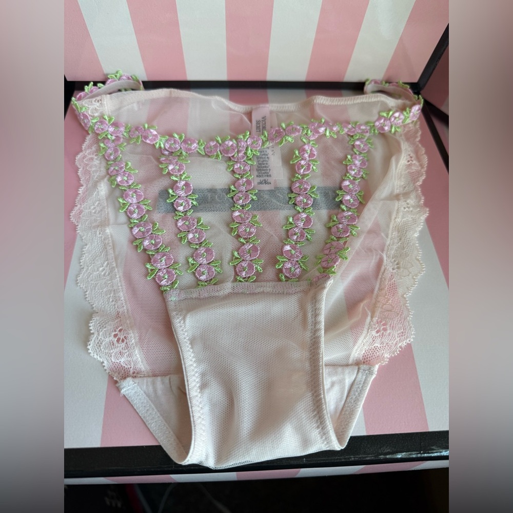 Victoria's Secret Rosebud Embroidery 3 Set NWT Corset 36 DD panty L Garter XS/S - Picture 5 of 13